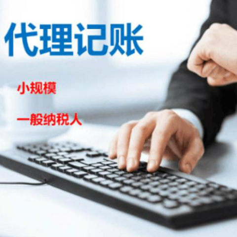 专业代理记账服务 专注公司注册与会计代账，价格低廉